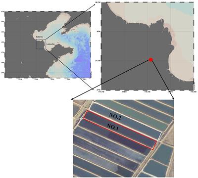 The effect of Sesuvium portulacastrum for reducing inorganic nitrogen pollution in coastal mariculture wetland